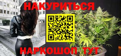 шишки Тверь