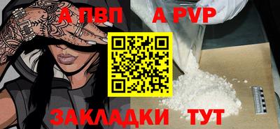 шишки Тверь