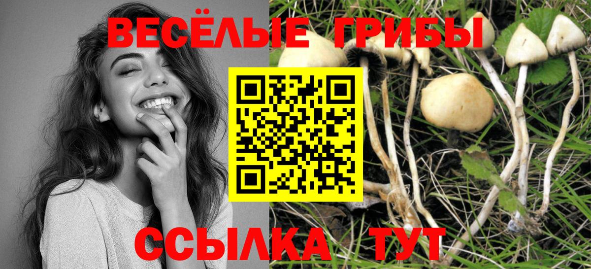 Псилоцибиновые грибы Psilocybe Орехово-Зуево