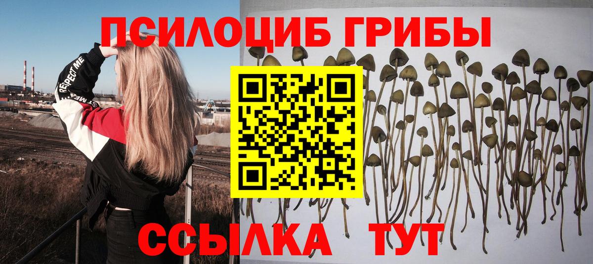 что такое   Галлюциногенные грибы ЛСД  Вход с VPN  Орехово-Зуево  Галлюциногенные грибы мухоморы 